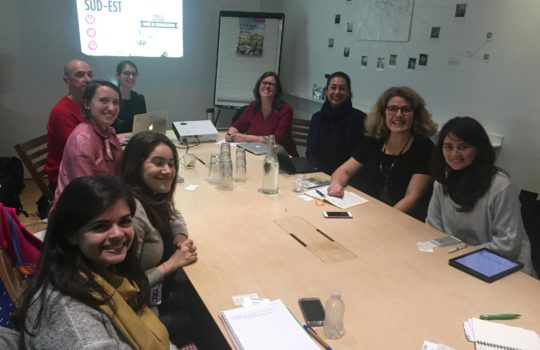 Overview of RGCS activites (2014-2018): studying and experimenting collaborative practices